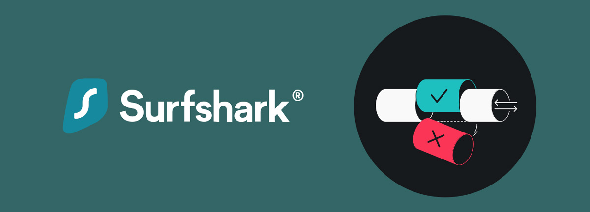 Everlink-par-Surfshark Illustration : Everlink par Surfshark