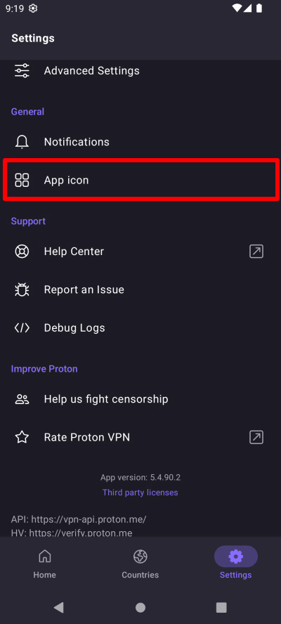 Illustration : Icone ProtonVPN remplace icone generique