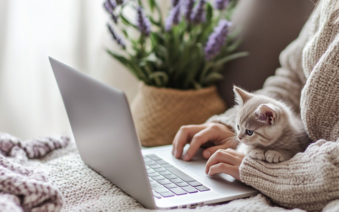 Libérez votre internet quand votre connexion vous joue des tours