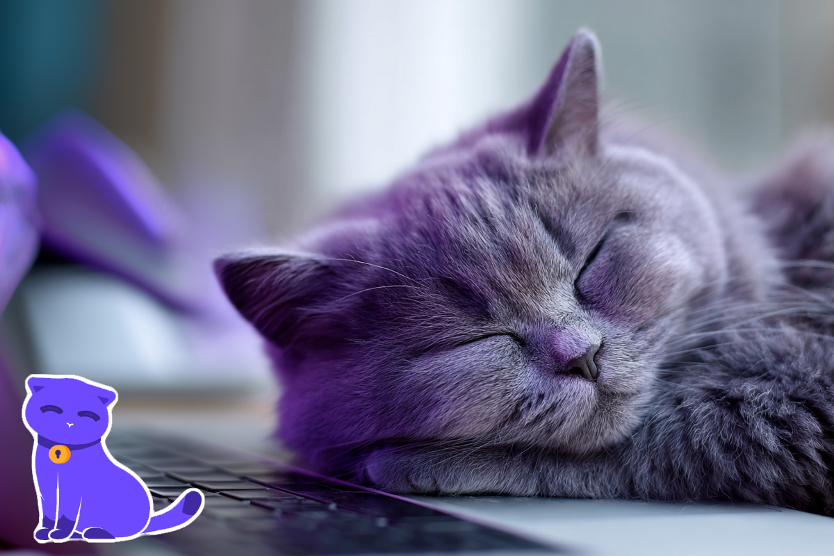 Illustration : Lumo, l’IA qui n'espionne pas ses utilisateurs