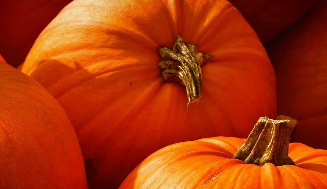 VPN Promo Halloween 2021