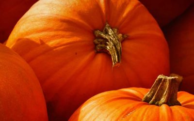 VPN Promo Halloween 2021