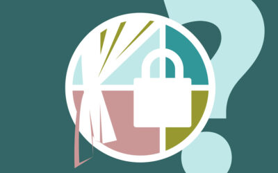 Pourquoi utiliser un VPN alors qu’on a rien à cacher ?