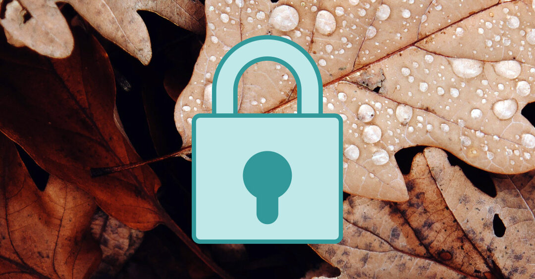 Promotion VPN Octobre 2022 : Mois de la cybersécurité