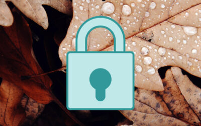 Promotion VPN Octobre 2022 : Mois de la cybersécurité