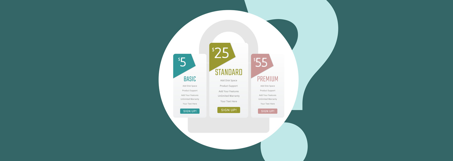 Que-contient-un-abonnement-VPN Illustration : Que contient un abonnement VPN ? Comment fonctionne un abonnement VPN ?