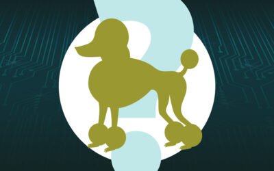 Qu&rsquo;est-ce qu&rsquo;une attaque POODLE ?