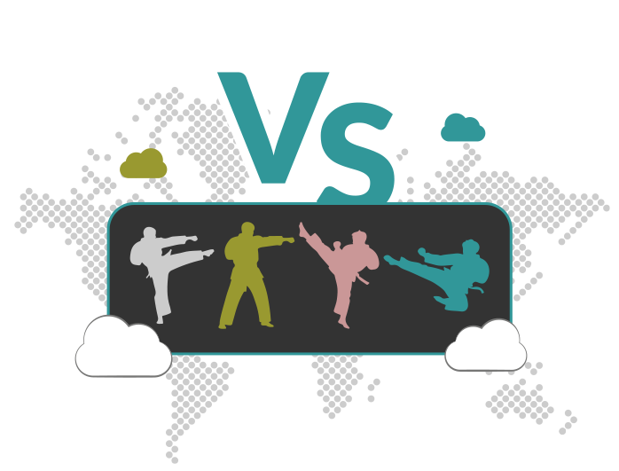 Regarder les sports de combat en streaming légalement