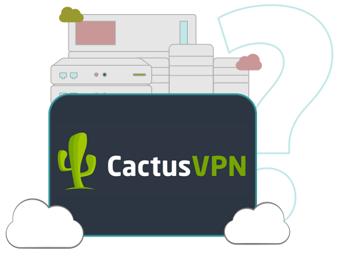 Illustration : Serveur de CactusVPN