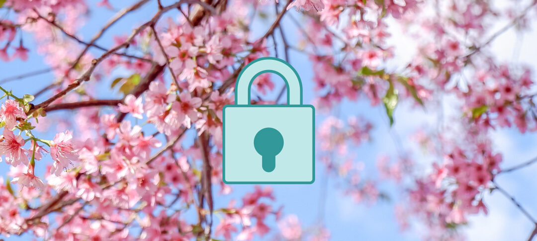 En avril, ne te découvre pas d’un fil ! VPN en promotion pour rester bien couvert en ligne