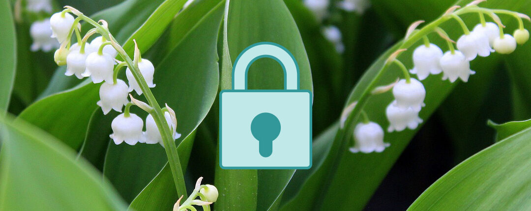 VPN : Les meilleures offres d’abonnement en mai 2023