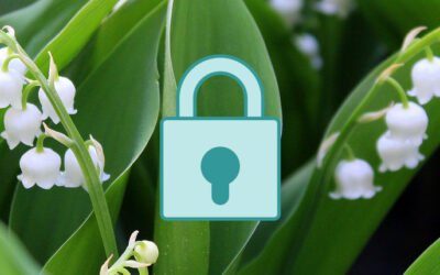 VPN : Les meilleures offres d’abonnement en mai 2023
