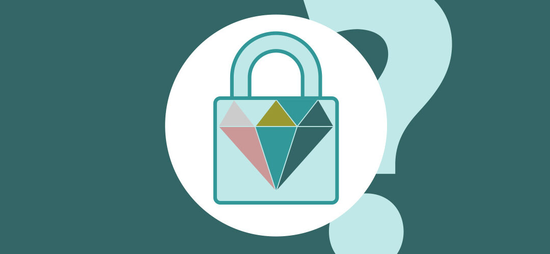 VPN les plus chers