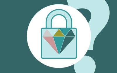 Les VPN les plus chers du marché