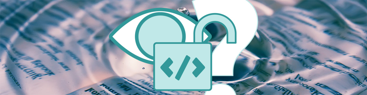 VPN-transparent Illsutration : VPN transparent