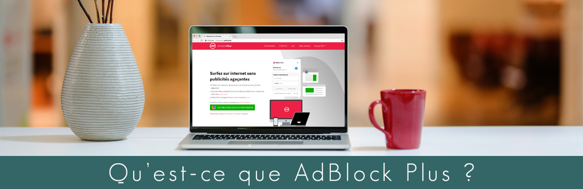 Illustration : AdBlock Plus