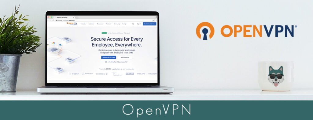 comprendre OpenVPN