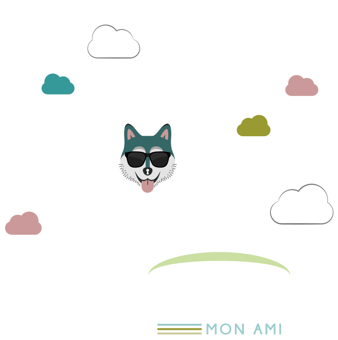 Dossier de Presse VPN Mon Ami