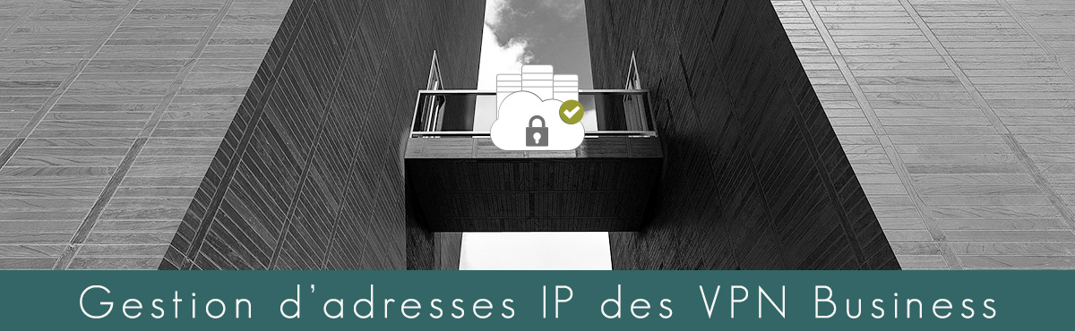 Illustration : gestionnaire d'adresse IP des VPN Pro