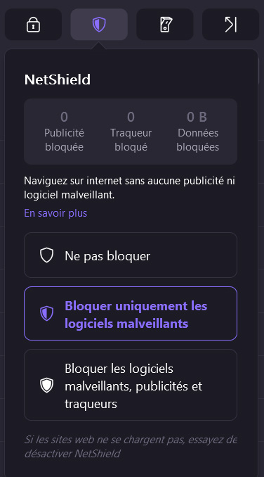 Illustration : interface de reglage de NetShield le bloqueur de ProtonVPN