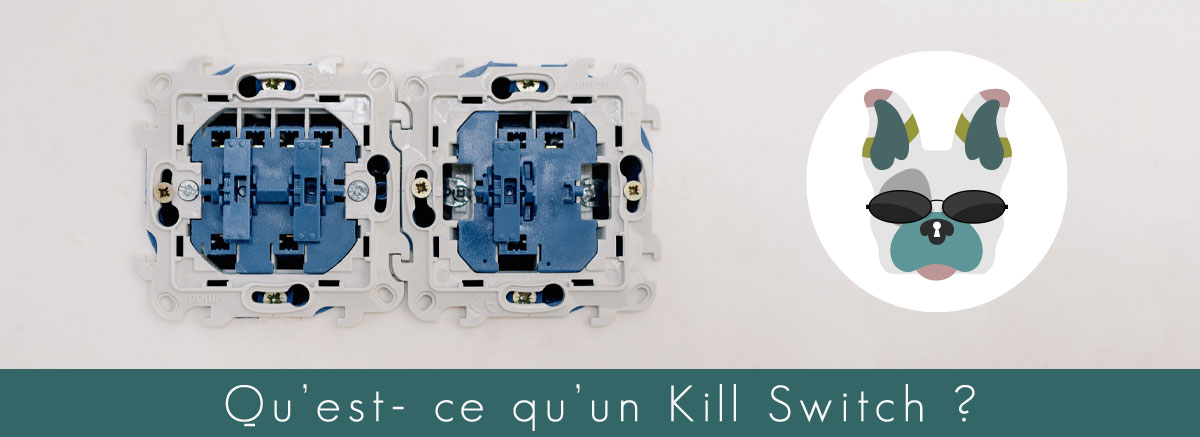 Illustration : Qu'est-ce que le Kill Switvh d'un VPN ?