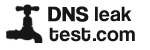 Logo DNS leak test