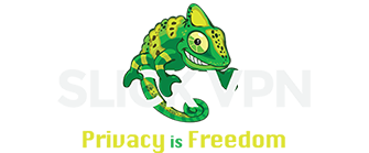 Illustration : Logo de SlickVPN