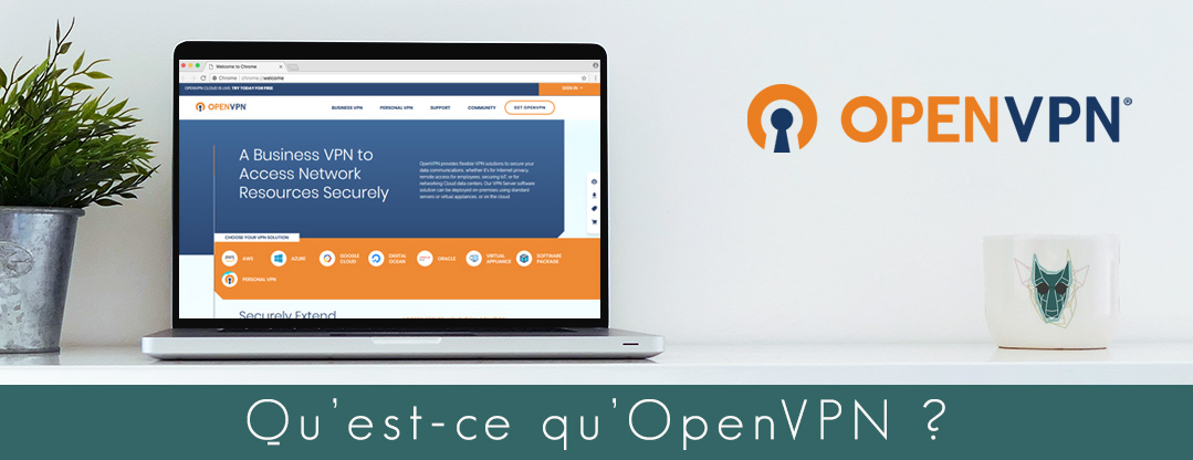 Illustration : mise en situation du site officiel d'OpenVPN