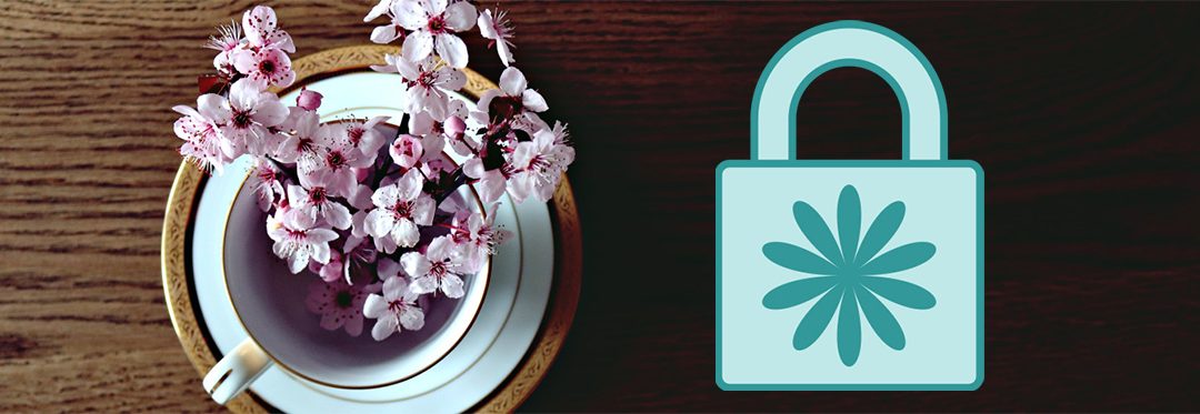 VPN : Promotions de printemps