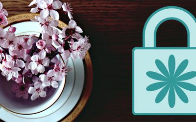 VPN : Promotions de printemps