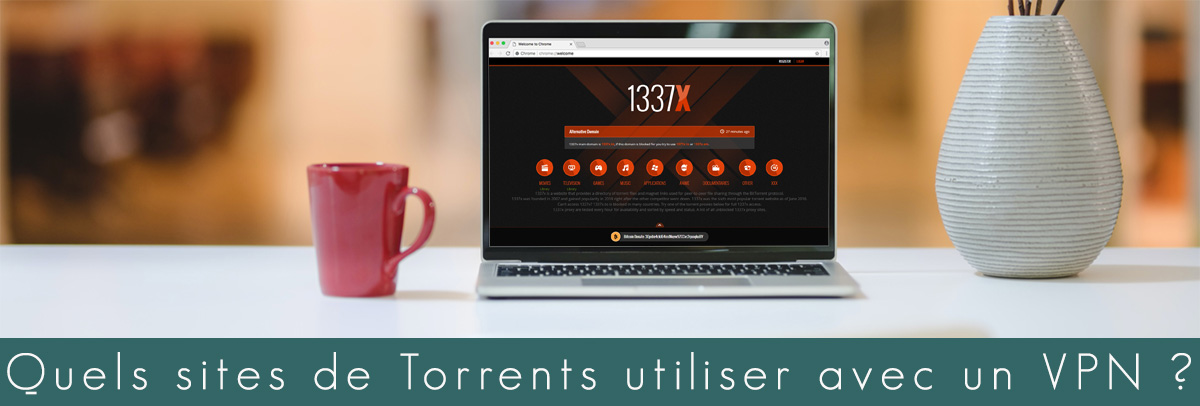 Illustration : Site de torrent avec un VPN