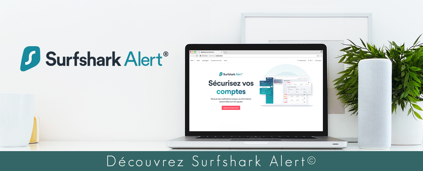 Illustration : Qu'est-ce que Surfshark Alert ?