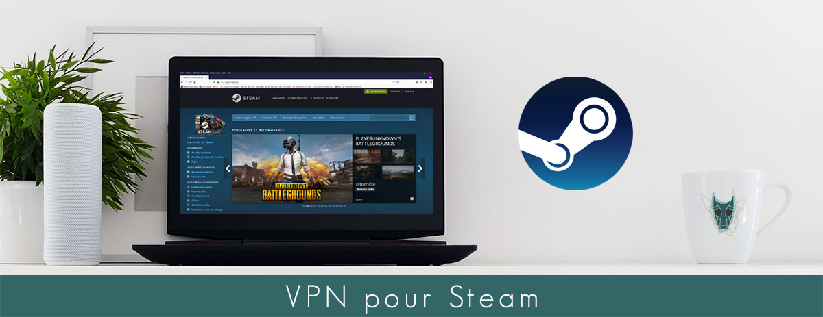 Illustration : VPN pour Steam