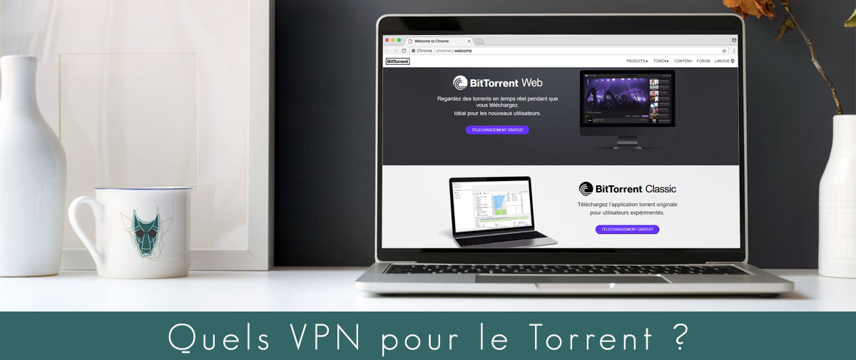 Illustration : VPN pour le torrent