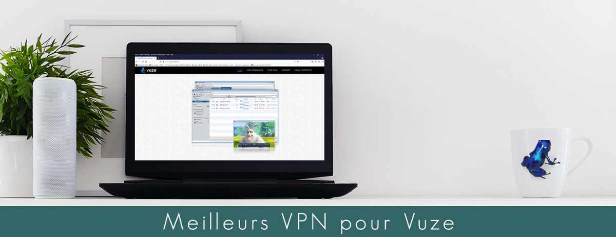 illustration : Quel VPN choisir pour Vuze